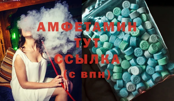 дурь Ельня