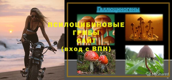 бутират Аркадак